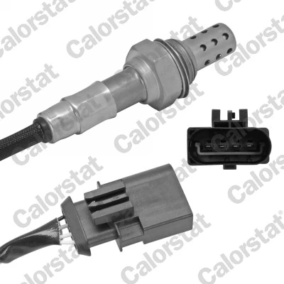 Oxygen Sensor
